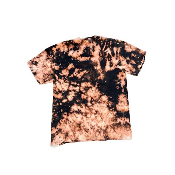 Houston Astros 2017 World Series Champs Bleached Tee - Picture 2 of 4